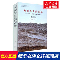 新疆拜其尔墓地——2004-2005年度发掘报告 文物出版社 正版书籍 新华书店旗舰店文轩官网