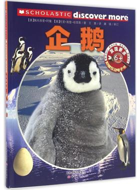【新华文轩】发现更多 6+ 企鹅 (美)佩内洛普·阿隆(Arlon,P.),(美)托里·高登-哈里斯(Gordon-Harris,T.) 著;王慧 译
