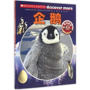【新华文轩】发现更多 6+ 企鹅 (美)佩内洛普·阿隆(Arlon,P.),(美)托里·高登-哈里斯(Gordon-Harris,T.) 著;王慧 译