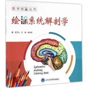 正版 绘涂系统解剖学 考前冲刺搭配徐涛8套卷李林考研数学二肖四肖八考研书籍工商管理硕士在职研究生考研常备