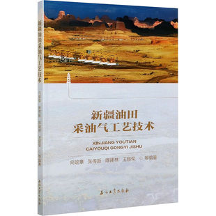 新疆油田采油气工艺技术 正版书籍 新华书店旗舰店文轩官网 石油工业出版社