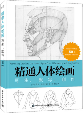 精通人体绘画写生、默写、创作