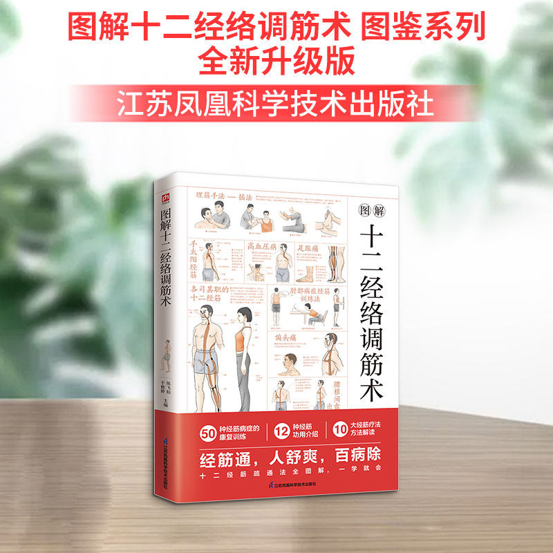 【新华文轩】图解十二经络调筋术 图鉴系列全新升级版 人体经络穴位按摩 50种经筋病症的康复训练 12种经筋 10大经筋疗法方法解读