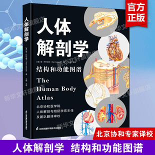 人体解剖学 结构和功能图谱 解剖图谱人体解剖学彩色法医学专业书籍 人体的基础医学通用教材 人体解剖学基础知识 新华正版书籍