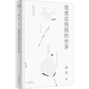 小嘉推荐】我爱这残损的世界 海桑全新诗集 这一次与万物恋爱我是你流浪过的一个地方作者以温柔放大生活的细节现当代文学散文诗歌
