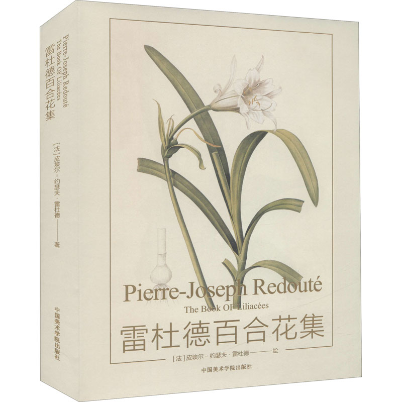 新华书店正版 美术作品 文轩网