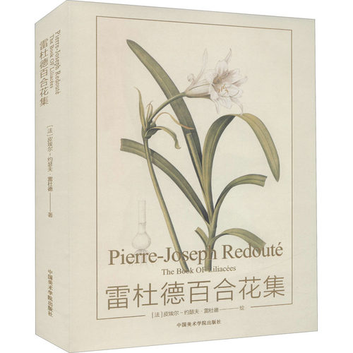 新华书店正版 美术作品 文轩网