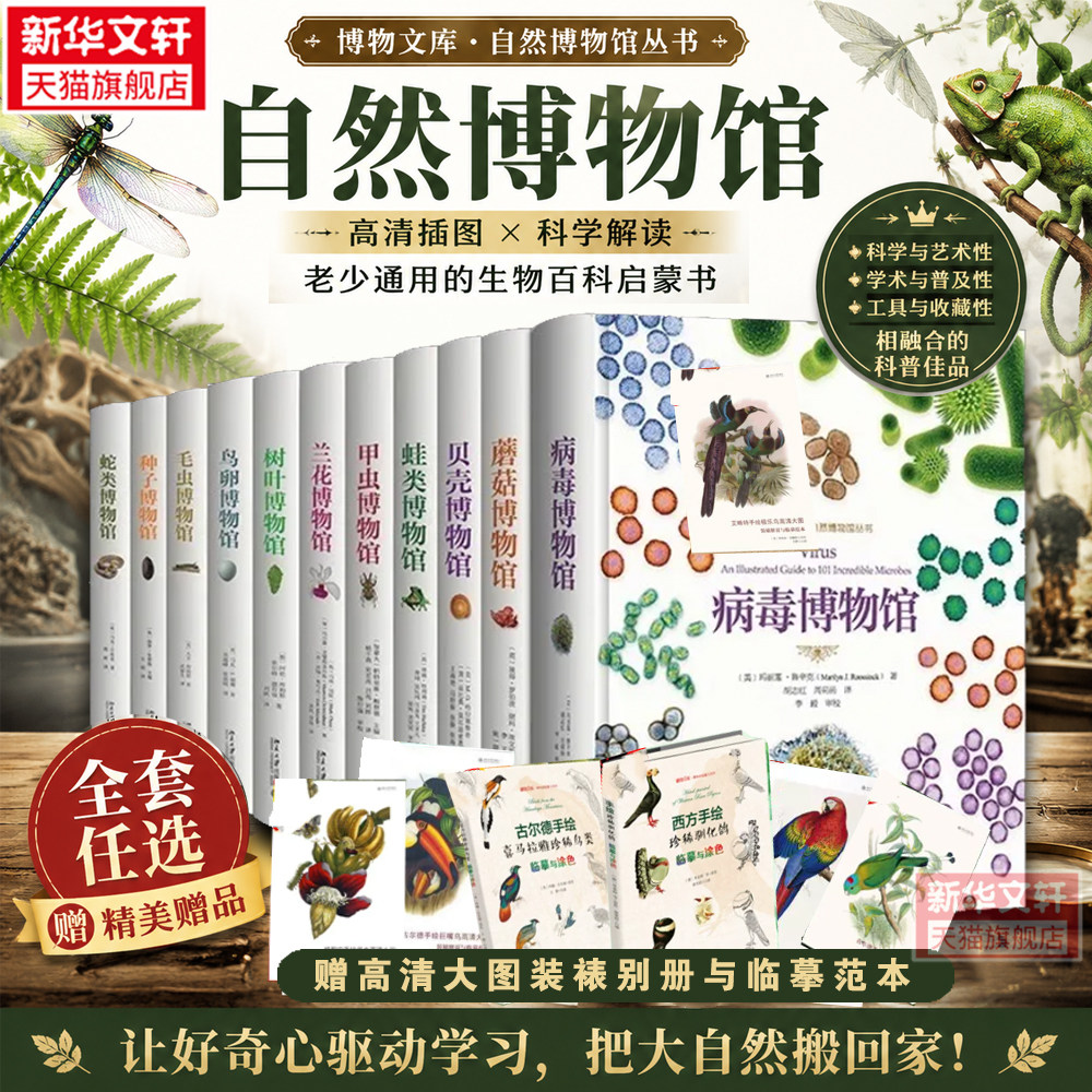 自然博物馆图鉴 贝壳病毒甲虫兰花毛虫蘑菇鸟卵蛇类树叶蛙类种子博物馆百科全书 成人儿童青少年自然动植物微生物科普读物通识书籍