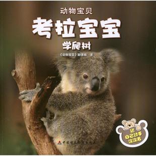 动物宝贝翻译组 新华书店旗舰店文轩官网 动物宝贝•考拉宝宝学爬树 书籍 正版 译者 著作 戈尔 印 新华文轩