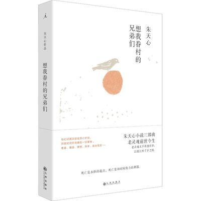 想我眷村的兄弟们 朱天心 著 现当代文学书籍畅销书排行榜经典文学小说 九州出版社 新华书店旗舰店文轩官网