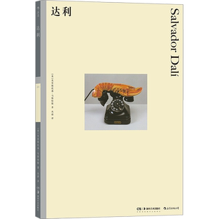 【新华文轩】达利 (美)克里斯托弗·马斯特斯 正版书籍 新华书店旗舰店文轩官网 湖南美术出版社