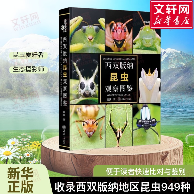 西双版纳昆虫观察图鉴 收录西双版纳地区昆虫949种 蜘蛛 蜗牛等无脊椎动物134种 为昆虫爱好者和生态摄影师提供直观参考科普读物