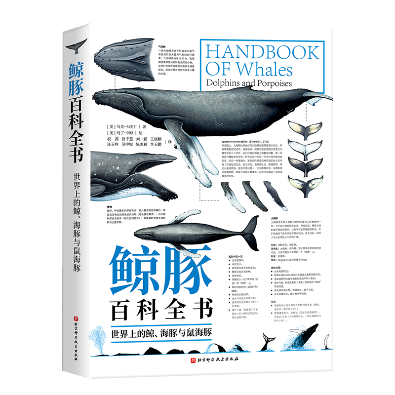 鲸豚百科全书 世界上的鲸、海豚与鼠海豚 探索海中巨兽的神秘与伟大生命历程90种鲸豚的超大海报正版书籍