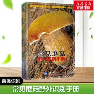 常见蘑菇野外识别手册 蘑菇入门知识 常见大型真菌讲解分类资源分布等基本知识 好奇心书系重庆大学出版社 新华正版书籍
