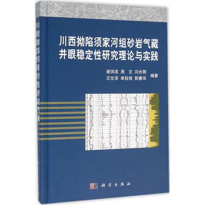 【新华文轩】川西坳陷须家河组砂岩气藏井眼稳定性研究理论与实践 谢润成 等 编著 正版书籍 新华书店旗舰店文轩官网 科学出版社