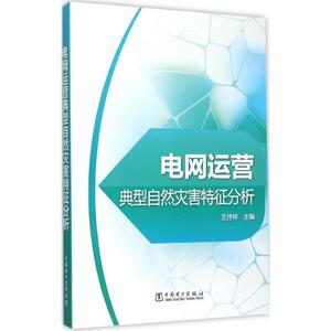 电网运营典型自然灾害特征分析 王抒祥 主编 正版书籍 新华书店旗舰店文轩官网 中国电力出版社