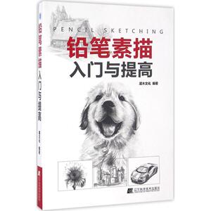 铅笔素描入门与提高 灌木文化 编著 正版书籍 新华书店旗舰店文轩官网 辽宁科学技术出版社