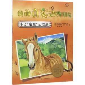 小马