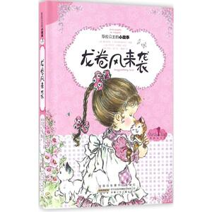 龙卷风来袭 (澳)莫代斯蒂·T.斯特里特利特尔 原著;(法)丹尼尔·约里斯 改写;(澳)莎拉·凯 绘;戴捷 译
