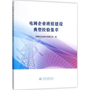 室内设计书籍入门自学土木工程设计建筑材料鲁班书毕业作品设计bim书籍专业技术人员继续教育书籍 电网企业班组建设典型经验集萃