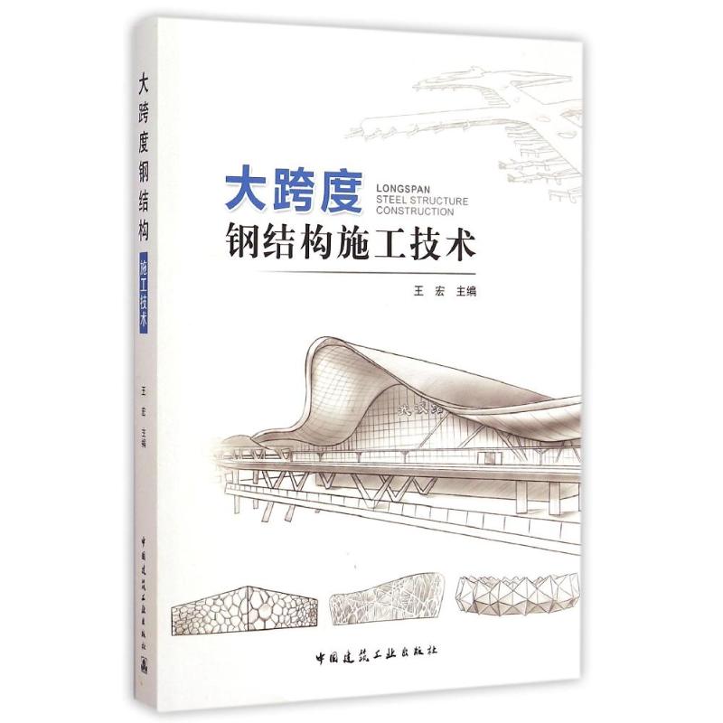 大跨度钢结构施工技术王宏著室内设计书籍入门自学土木工程设计建筑材料鲁班书毕业作品设计bim书籍专业技术人员继续教育书籍-封面