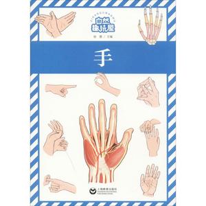 手 徐蕾 主编 正版书籍 新华书店旗舰店文轩官网 上海教育出版社