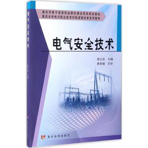 电气安全技术 段正忠 主编 正版书籍 新华书店旗舰店文轩官网 黄河水利出版社