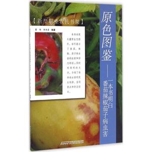 原色图鉴 董伟,郭书普 编著 正版书籍 新华书店旗舰店文轩官网 安徽科学技术出版社