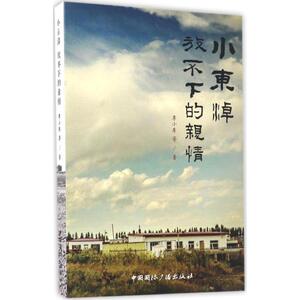 小东淖 李小东 等 著 正版书籍小说畅销书 新华书店旗舰店文轩官网 中国国际广播出版社