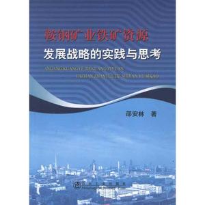 鞍钢矿业铁矿资源发展战略的实践与思考 邵安林 正版书籍 新华书店旗舰店文轩官网 冶金工业出版社