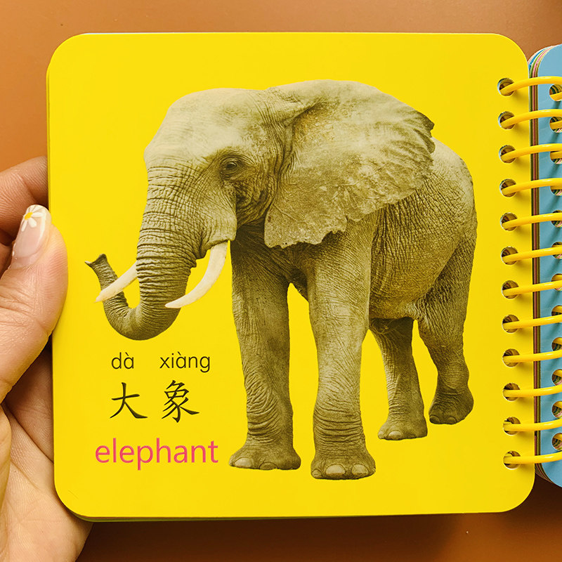 宝宝撕不烂认识动物卡片加厚翻翻书宝宝安全早教启蒙看图认动物世界