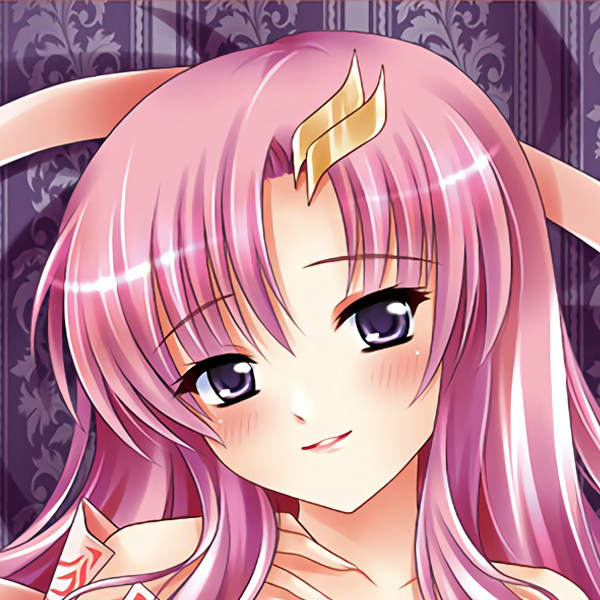 机动战士seed 拉克丝克莱茵动漫抱枕 等身长抱枕靠垫 枕头套定制