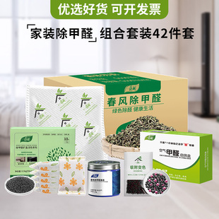 家装除甲醛组合套装新家装修除甲醛实用乔迁入住中秋国庆贺礼送礼