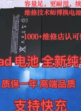 适用mini2/3/5 ipad6 ipad5 pro9.710.5平板电池11 10.2mini4电池