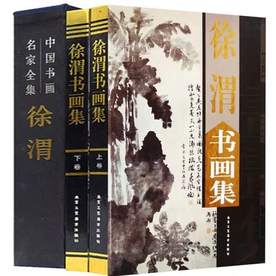 徐渭书画集全2册精装铜版纸印刷 北京工艺美术出版社正版徐渭书法绘画作品集 山水花鸟画集水墨写意花鸟画册中国书画名家全集书系