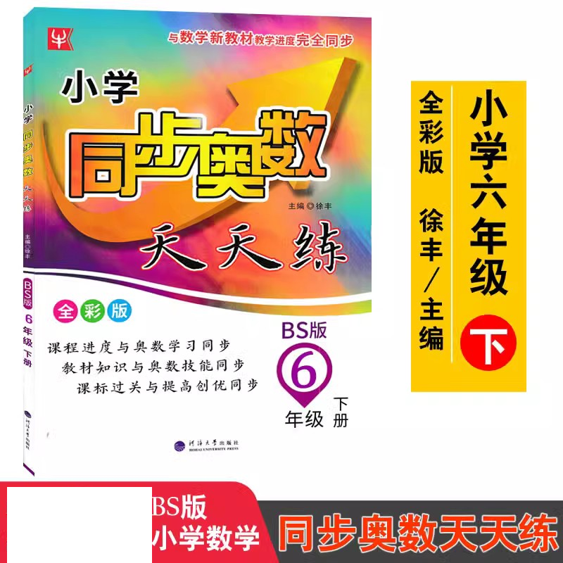 小学同步奥数天天练六年级下册BS