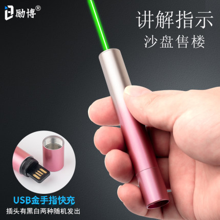 励博 售楼激光笔沙盘射笔售楼金手指usb充电讲解指示笔红外线刻字