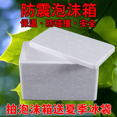 泡沫箱盒大号保温邮政6号7号小宠物爬宠爬虫活体冬季运输