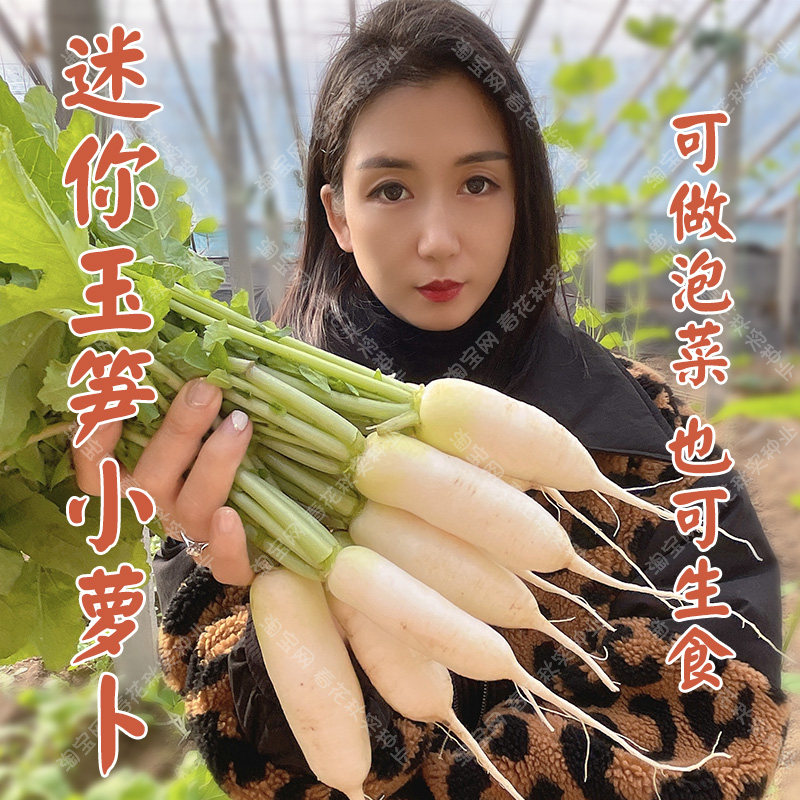 迷你玉笋小萝卜种子 春秋四季播蔬菜籽腌渍泡菜生食 盆栽早熟易种,鲜花速递/花卉仿真/绿植园艺,家庭园艺种子,淘宝优惠券,粉丝福利购,淘宝优惠卷