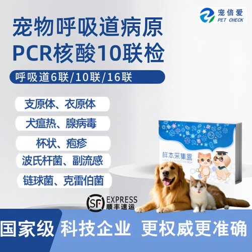 犬猫呼吸道pcr核酸检测