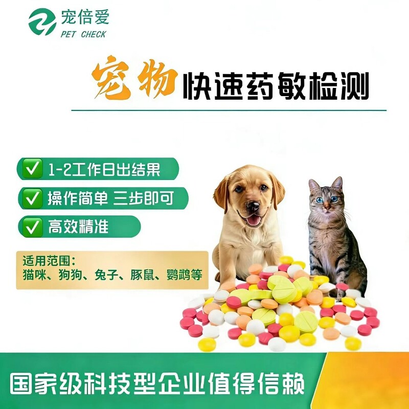 猫咪狗狗兔子鹦鹉宠物快速抗生素药敏检测高效精准快速出结果