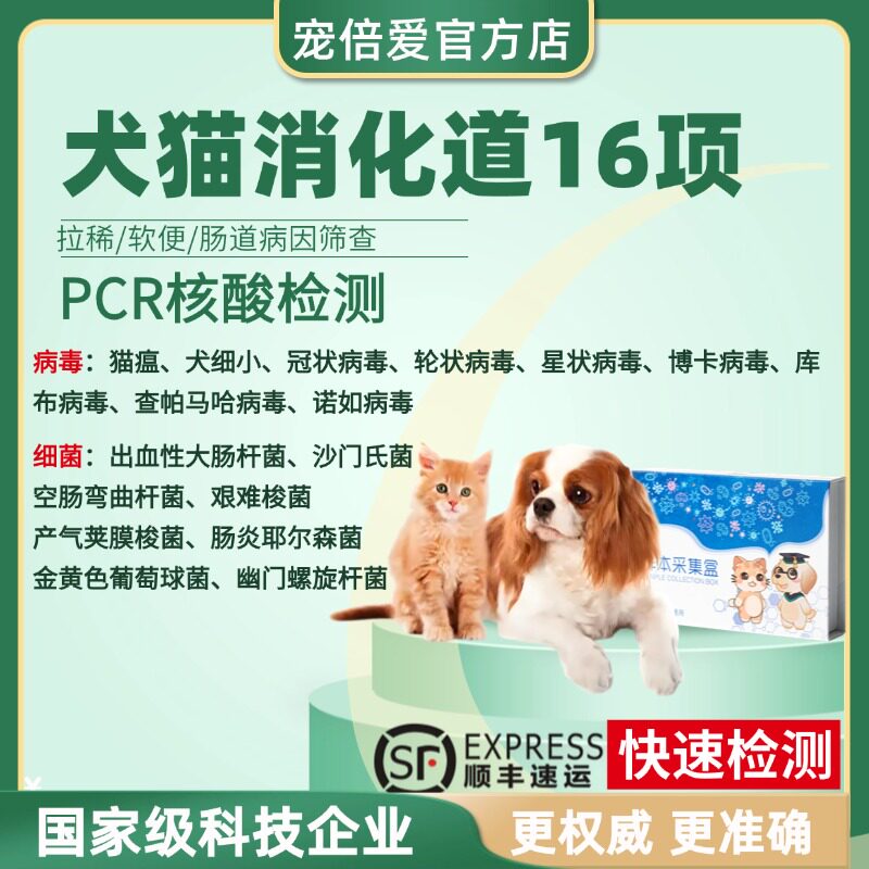 宠倍爱猫咪狗消化道PCR核酸16联检测细小猫瘟寄生虫送检