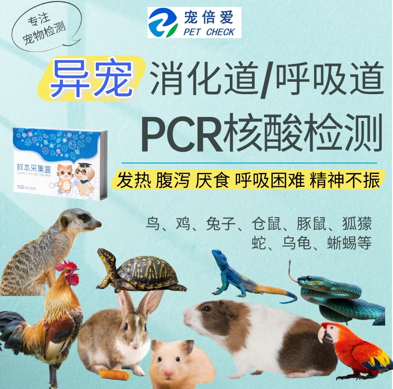 异宠呼吸道消化道PCR核酸检测