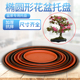 椭圆形花盆托盘花托加厚树脂假山花盆垫塑料接水盘盆景花盘托盘