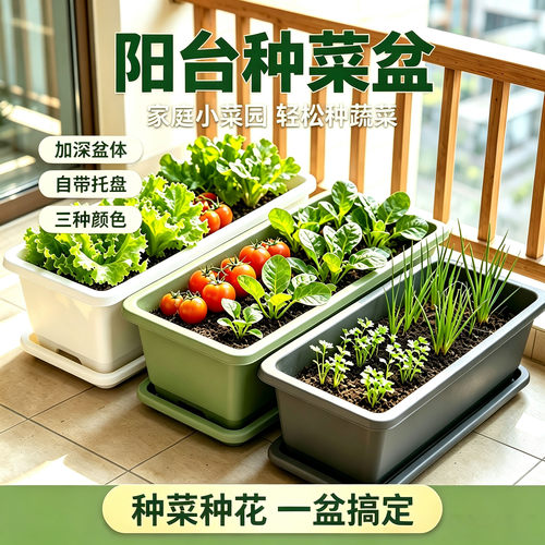 长方形阳台种菜花盆送托盘