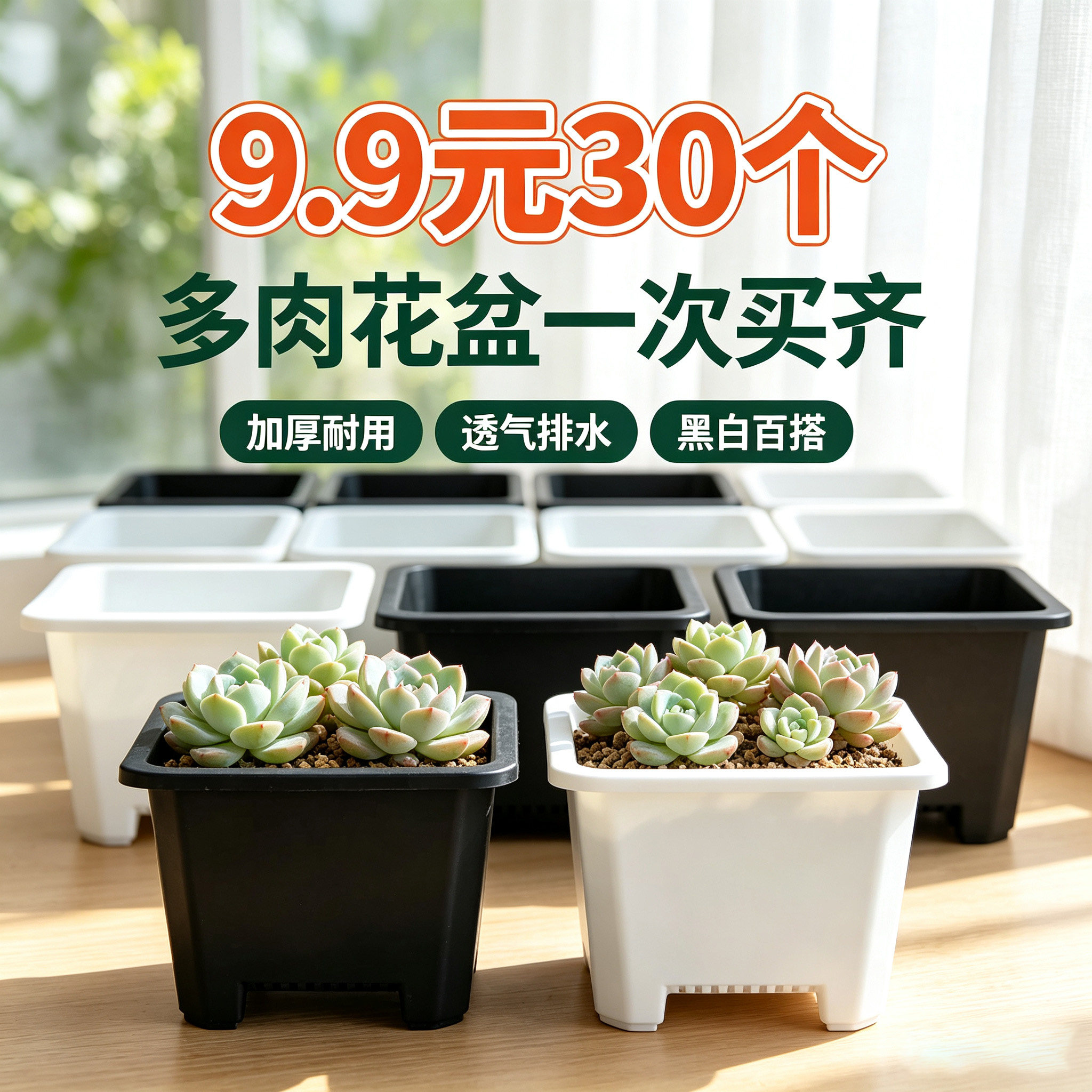 小号多肉老桩群韩式景天花盆控根黑色塑料加厚白色大口径方盆