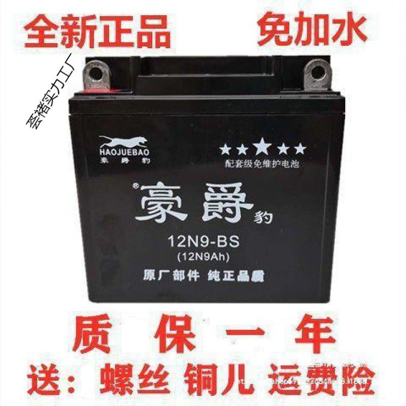 摩托车电瓶12v9a7a5a电瓶钻豹铃