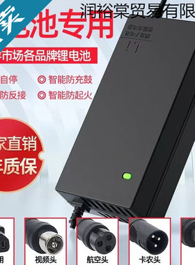 锂电池电动车充电器48V36V60V24