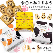 人气可爱 日本进口点心 8個入 猫猫造型巧克力曲奇饼干礼盒