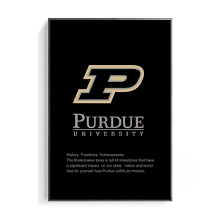 Purdue挂画普渡大学装饰画 卧室办公现代简约 卧客厅 背景墙定制